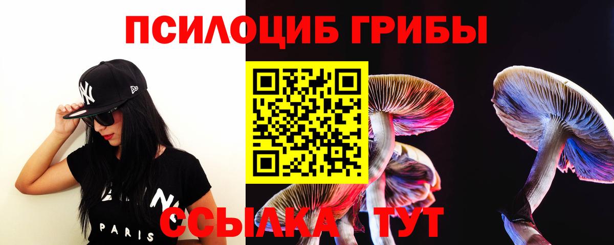 Морозовск  Галлюциногенные грибы ЛСД  Вход с VPN 