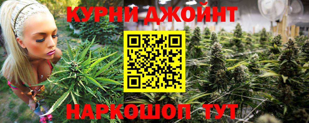Бошки марихуана сатива  Бошки марихуана план  Канабис планчик  МАРИХУАНА Bruce Banner  Морозовск  Вход с VPN 